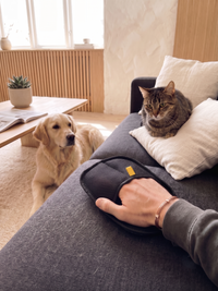 Kit Anti-Pelo Kayhome — Guante + Patita para Perros y Gatos